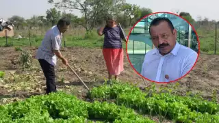 Marcharán más de 13 mil campesinos excluidos de programas federales en Campeche