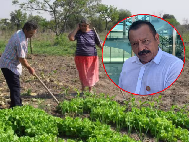 Campesinos de Campeche marcharán: más de 13 mil excluidos de programas federales