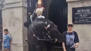 Caballo de la Guardia Real muerde a una turista en Reino Unido: VIDEO
