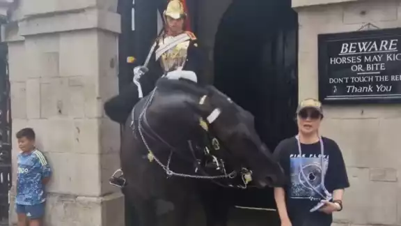 Filtran video de caballo de la Guardia Real mordiendo a una turista Filtran video de caballo de la Guardia Real mordiendo a una turista