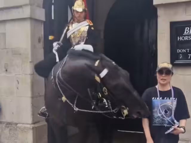 Filtran video de caballo de la Guardia Real mordiendo a una turista
