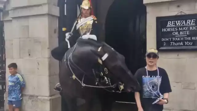 Filtran video de caballo de la Guardia Real mordiendo a una turista