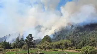 Incendios de Quintana Roo afectan vegetación de Campeche 