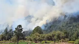 Hopelchén y Candelaria, focos rojos en puntos de calor 
