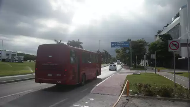 De fortalecerse, en los próximos siete días, llevaría el nombre de ciclón “Sara”, y se prevé, por la trayectoria, que afecte las costas mexicanas, aseguró el SMN