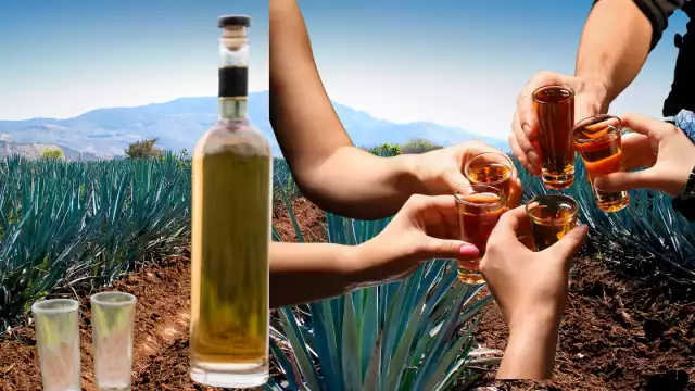 El tequila es a bebida más reconocida a nivel mundial que identifica a México