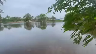 Othón P. Blanco lidera casos de dengue en el estado