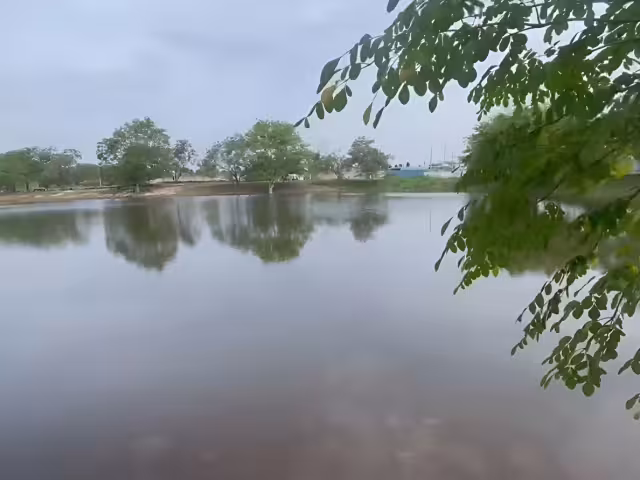 Othón P. Blanco lidera casos de dengue en el estado