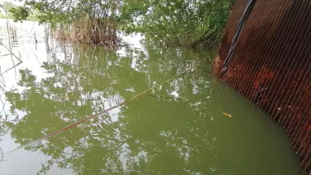 Las lluvias se registraron durante la madrugada, por lo que en la mañana el agua ya había subido