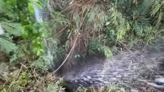 Reportan gran fuga de agua en la avenida Universidad de Chetumal