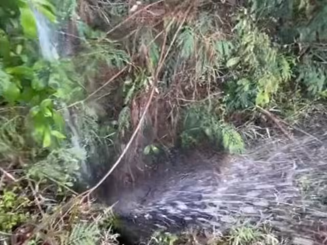 Ciudadanos expresaron su preocupación por el incidente.