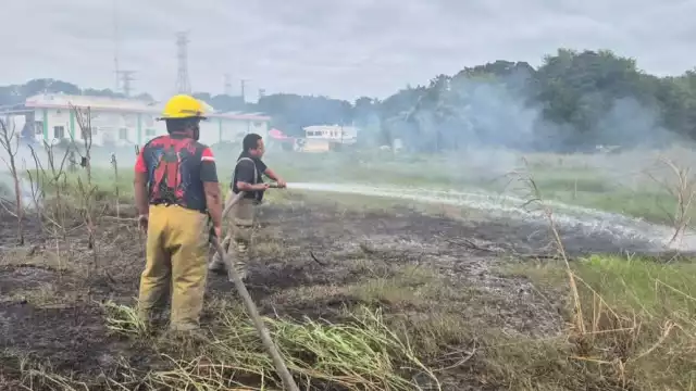 Protección Civil y Bomberos retiraron un árbol peligroso y sofocaron un incendio de maleza