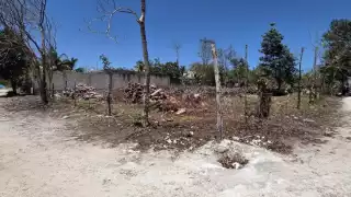  Cozumeleños denuncian  fraude en venta de terrenos de Las Fincas