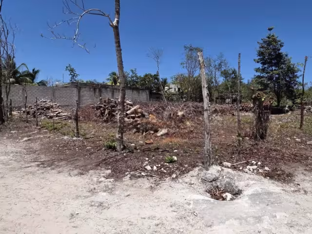 Las personas sólo quieren que se les regresen los recursos que pagaron a Teresa N