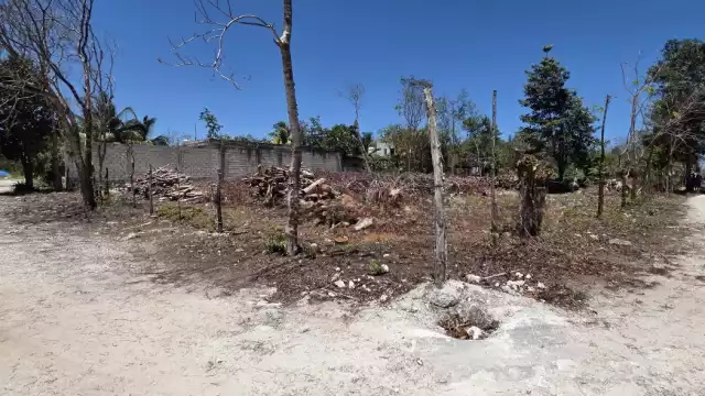 Las personas sólo quieren que se les regresen los recursos que pagaron a Teresa N