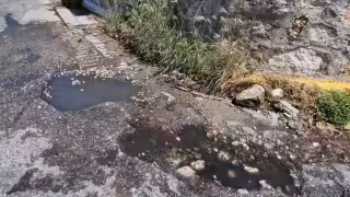 Baches abundan en Campeche