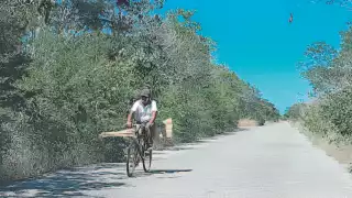 Desaparición del Programa de Empleo Temporal deja carreteras de Campeche sin mantenimiento 