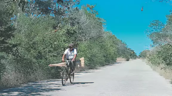 La maleza invade la cinta de rodamiento, generando riesgos para los transeúntes La maleza invade la cinta de rodamiento, generando riesgos para los transeúntes