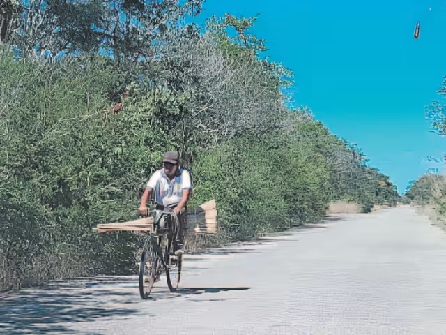 La maleza invade la cinta de rodamiento, generando riesgos para los transeúntes