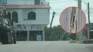 Peligro en Champotón: Poste de TELMEX podría colapsar en la colonia Los Manguitos