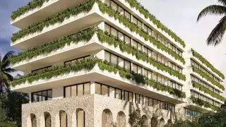 Inmobiliaria planea edificar complejo habitacional en área protegida de Tulum