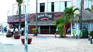 “Es difícil llevar el sustento a casa": Trabajadores turísticos de Cozumel reportan caída del 40% en propinas  por  falta de visitantes 