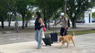 Toman un “respiro" tras dos años trabajando: Pareja cancunense emprende sus vacaciones a Querétaro con “Luna", su   fiel mascota   