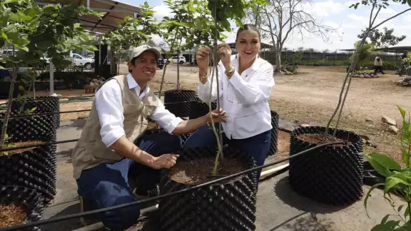 Con 2,000 Air-Pots, se garantizará un mayor índice de supervivencia para los árboles Con 2,000 Air-Pots, se garantizará un mayor índice de supervivencia para los árboles