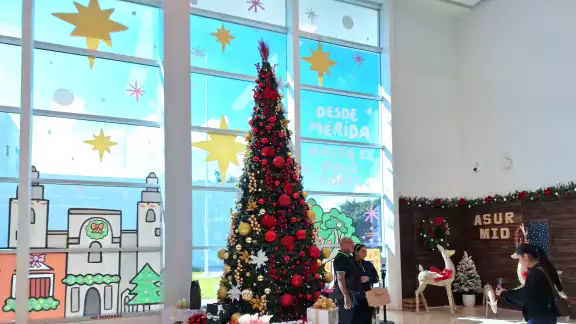 Suele subir la demanda de vuelos a Guadalajara en el aeropuerto de Mérida