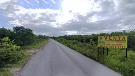 El 12 de agosto, en la zona de Puerto Morelos y Leona Vicario, elementos de la Fiscalía General del Estado realizaron operativos contra desarrollo irregulares El 12 de agosto, en la zona de Puerto Morelos y Leona Vicario, elementos de la Fiscalía General del Estado realizaron operativos contra desarrollo irregulares