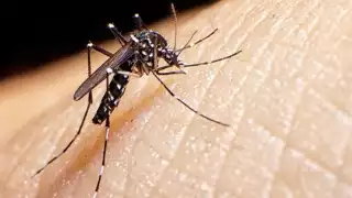 Activan plan emergente ante muertes por dengue en Oaxaca