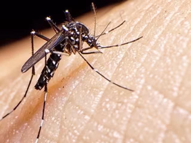 Activan plan emergente ante muertes por dengue en Oaxaca