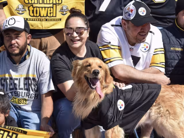 Los fans mexicanos de los acereros