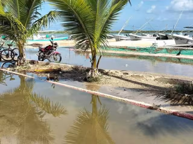 El fenómeno, conocido también como marea alta, forma parte del ciclo natural de los cuerpos de agua costeros