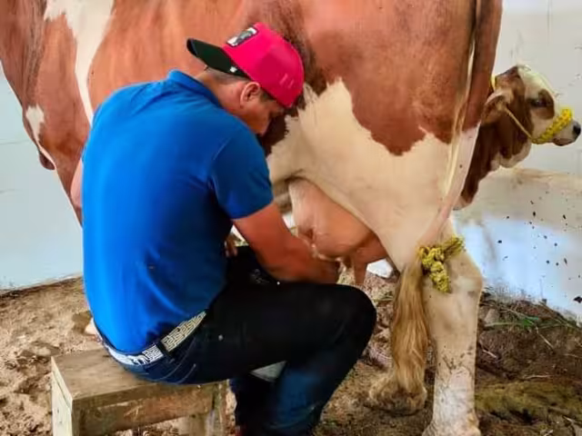 La construcción de una planta pasteurizadora en Campeche es una buena noticia para los productores pecuarios