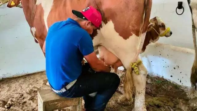 La construcción de una planta pasteurizadora en Campeche es una buena noticia para los productores pecuarios