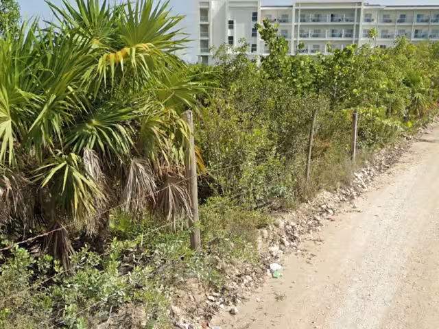 Ampliación de la carretera a Isla Blanca favorecerá al desarrollo hotelero