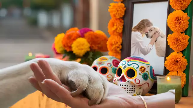 La ofrenda para mascotas se pone unos días antes