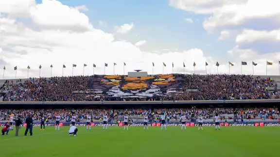 El mosaico de lo felinos