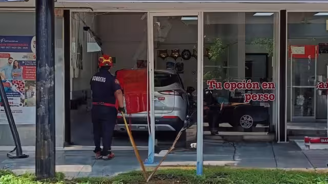 El hecho generó daños considerables en el establecimiento