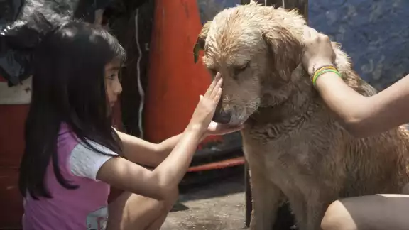 La Leyenda de La Niña y el Perro te va a poner la piel chinita. La Leyenda de La Niña y el Perro te va a poner la piel chinita.