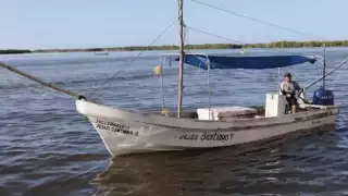 Yucatán ampliará la cuota de pulpo a 32 mil toneladas