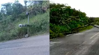 Caída de postes deja sin electricidad a varias comunidades en Palizada: Temen accidentes por cables energizados