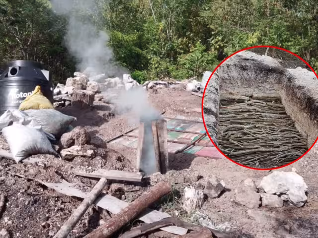 Denuncian operación ilegal de hornos de carbón vegetal en zona forestal