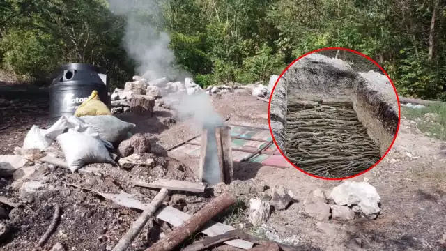 Denuncian operación ilegal de hornos de carbón vegetal en zona forestal