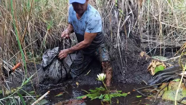 Pescadores rematan mojarra para evitar pérdidas ante desplome de precios