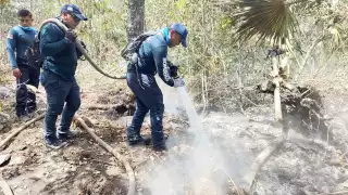 Atienden nueve incendios forestales en Tulum; dos siguen activos