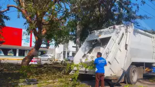 Suradas azotan Yucatán: Fuertes vientos ponen en riesgo a la población