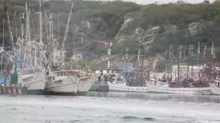  Canainpesca pide al Gobierno de Campeche mediar para atender las demandas de los empresarios pesqueros 