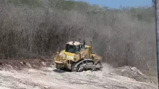 Alerta por devastación de la selva en Campeche: jaguares y clima en riesgo